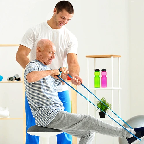 physiotherapists